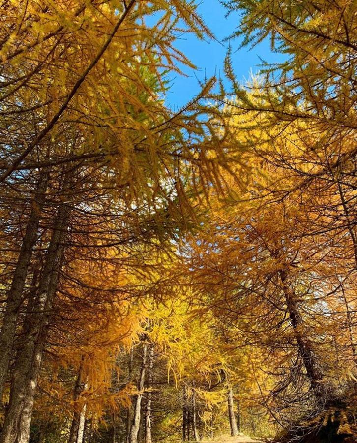 Appartamento Paola Livigno Exteriér fotografie